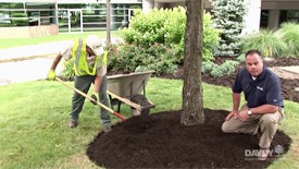 "Effective Mulching" video preview